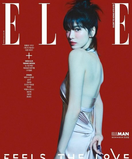 Song Hye kyo アートポルノスター 写真