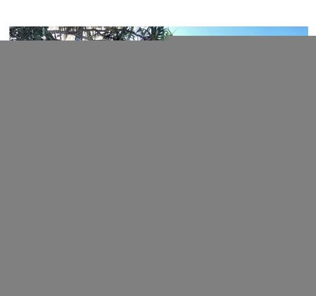 黒人レズビアンオンリーファンズ ポルノ 写真