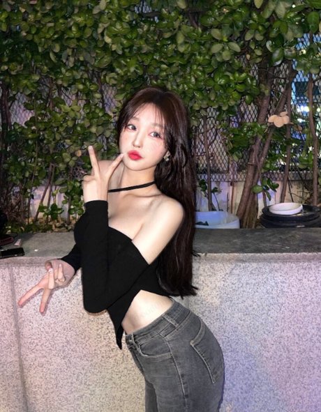 厚い黒檀オンリーファンズ 素敵 写真