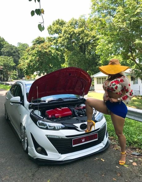 alejandritapty 美しいスター アーカイブ