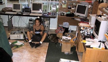 Asia Carrera トップ女優 画像