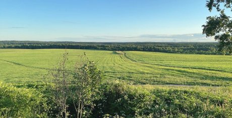 ポーグ xxx オンリーファンズ 素敵 写真