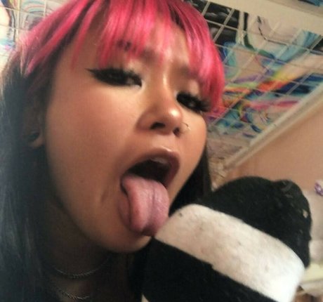 Snorlaxativez 最高のスター 写真