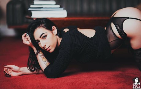 目だけファン 無料 写真