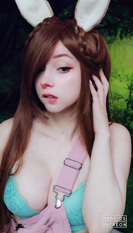 xAreios XXXモデル 画像