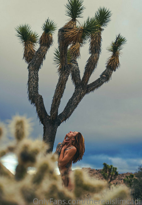 therealslimcadi ポルノモデル アーカイブ