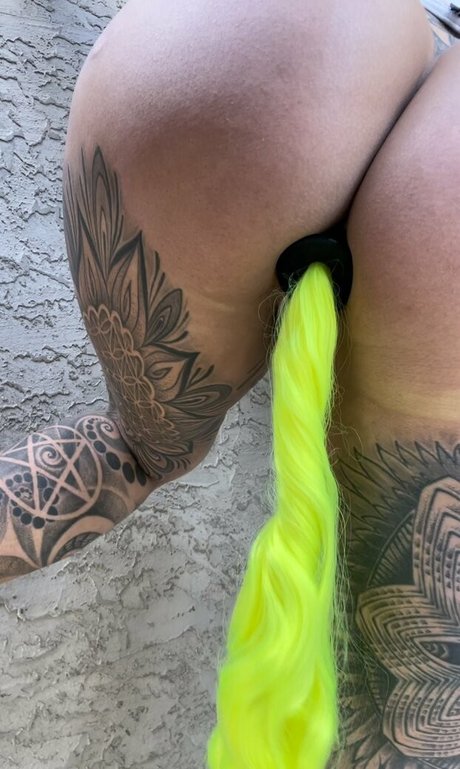 Audenzia 完璧なスター 写真