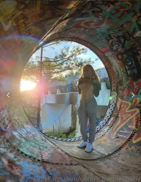 Venus Barbie ポルノスター 画像