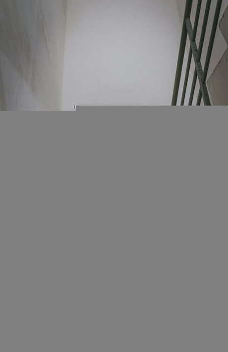 LuvianPublic 素敵なスター 写真