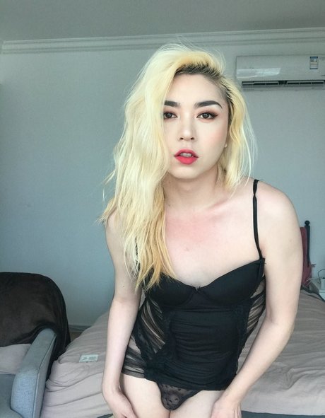 Sisdon ポルノスター 高品質 ギャラリー