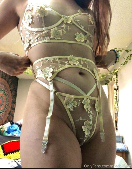 notchilllorn アートスター 写真