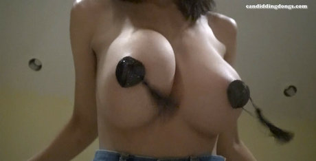 Candiddingdongs エロティックなポルノスター 画像