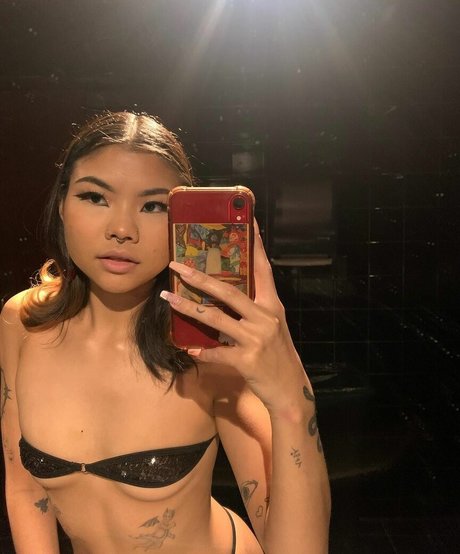 corademie 高品質モデル アーカイブ