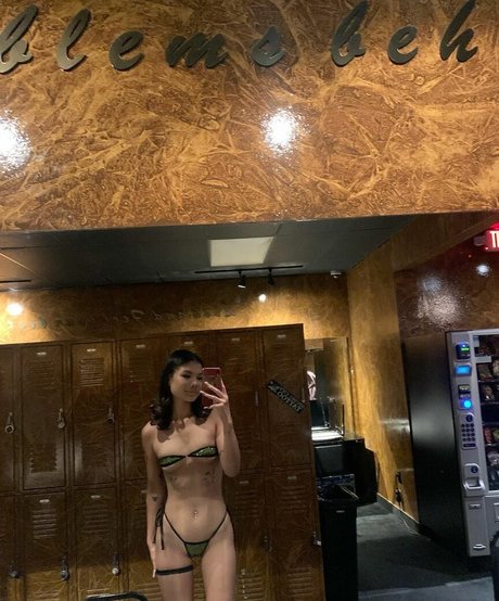 corademie アートスター 画像