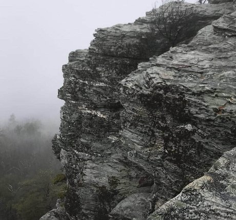 バニー無料OnlyFans ホット ギャラリー