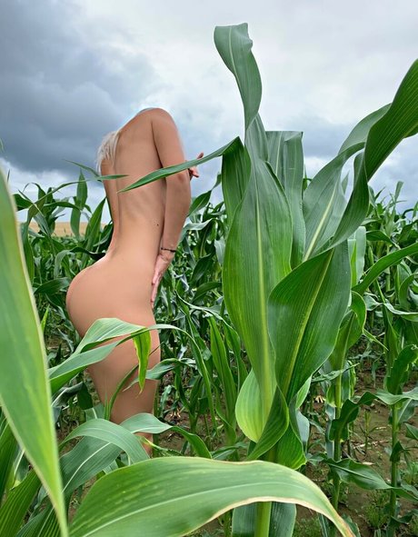 Popa popa ヌードスター 画像