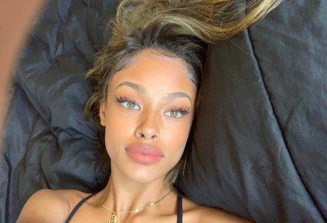 Vinetria 高品質のスター ギャラリー