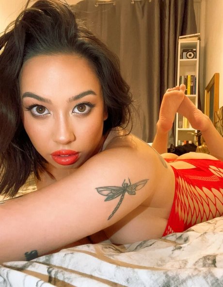 DakotaXrated ポルノ女優 写真