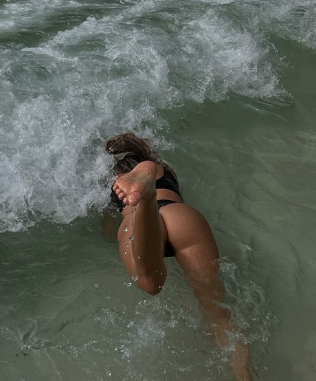 Li bash 高品質のスター ギャラリー