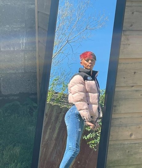 dolladills スター 写真