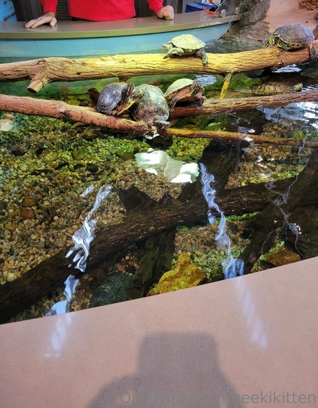 ヌード教師オンリーファンズ 無料ヌード 写真