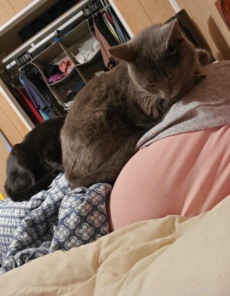 pandafluff1137 セックススター 写真