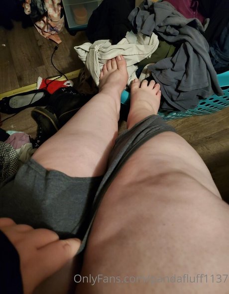 pandafluff1137 Profilbild