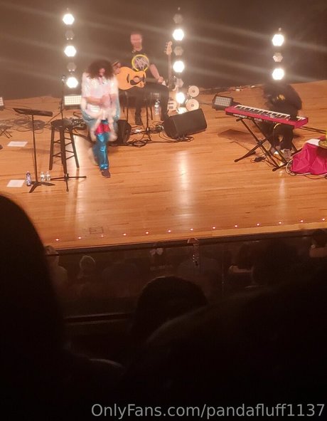 pandafluff1137 最高のスター 画像