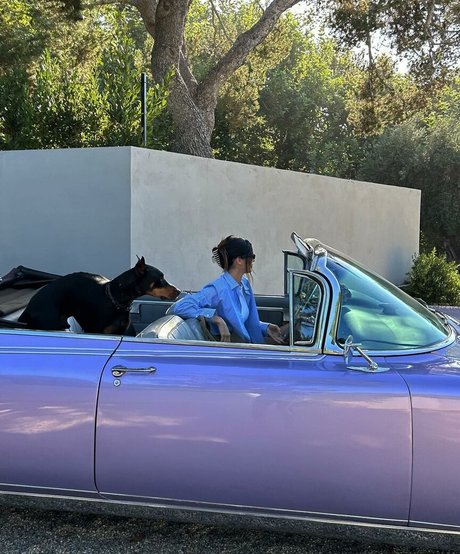 BBW パウグ オンリーファンズ アートポルノ 写真