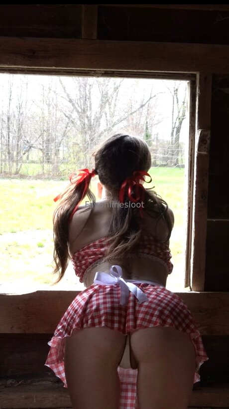 favonlinesloot ホットスター 写真