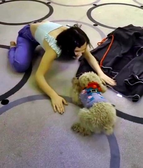 ロールプレイオンリーファン セクシーxxx 写真