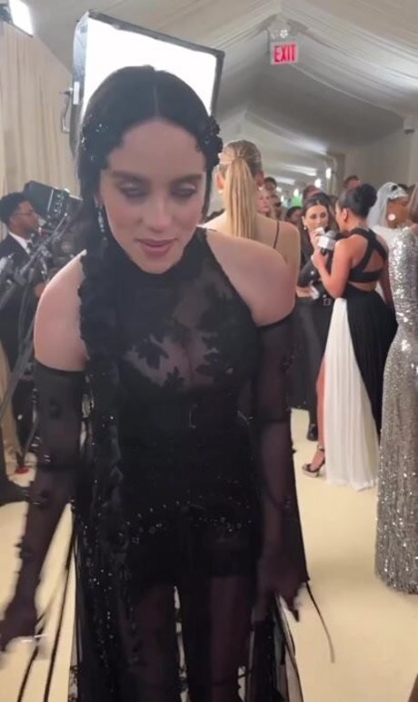 Billie Eilish 限定スター 写真