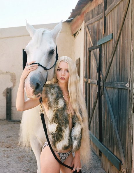 ゲイビデオ OnlyFans トップ アーカイブ