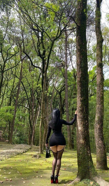 不明なファン トップ 写真