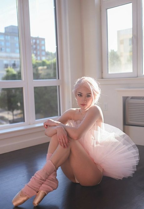 QueenTofu ポルノスター アート ギャラリー