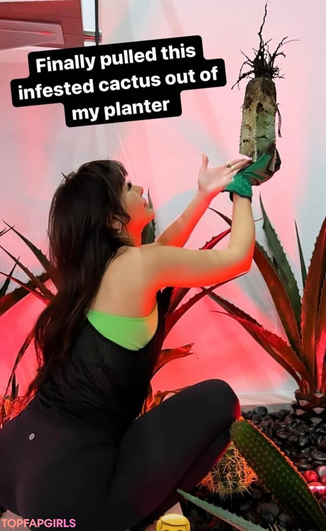 Sssniperwolf エロティックなポルノスター 写真