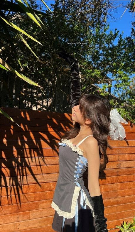 Eeeveenara アート女優 写真