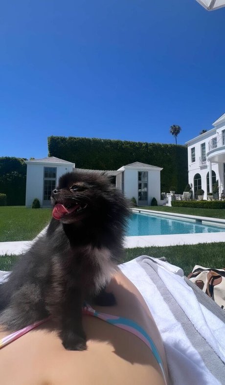 Loren Gray 高品質モデル 画像