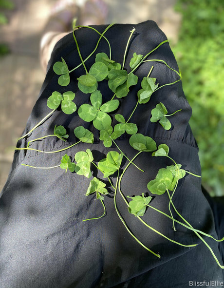 手コキ 主観視点 オンリーファンズ ホットxxx 写真