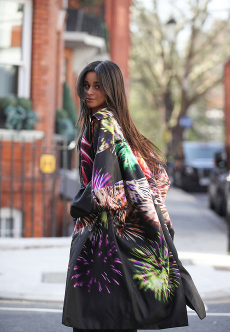 Camila Cabello XXXモデル ギャラリー