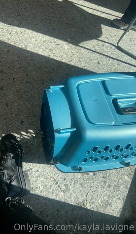 BBW パウグ オンリーファンズ セックス 写真