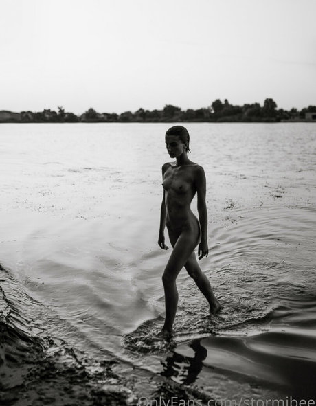 stormibee Profilbild