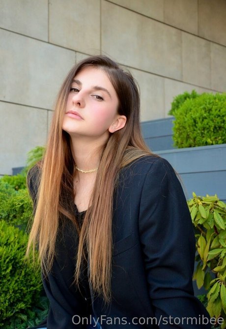 stormibee 美しいスター 写真