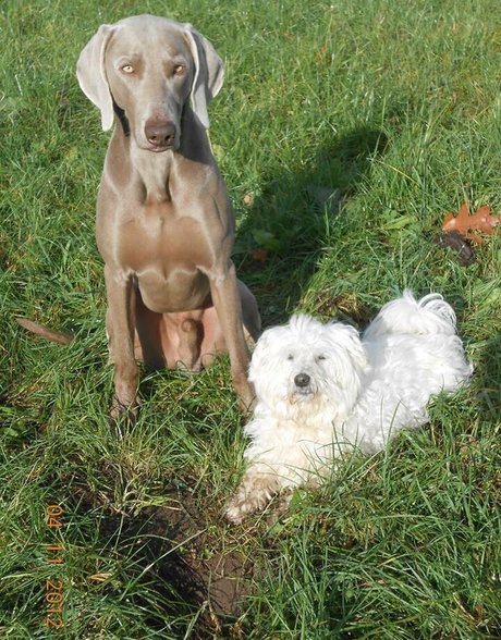 毛深いラテン系オンリーファンズ ポルノ 画像