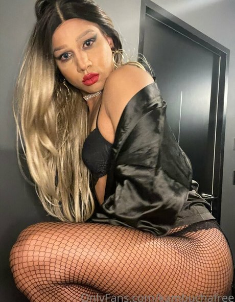 kambuchafree アートポルノスター 写真