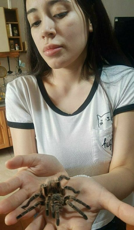 レズビアンの猫OnlyFans 無料xxx ギャラリー