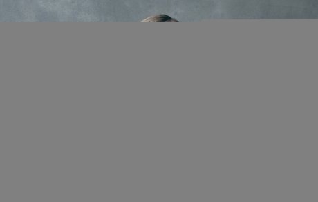 ロールプレイオンリーファン 素敵 画像