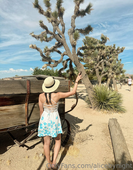 alicebynight ヌードスター 写真