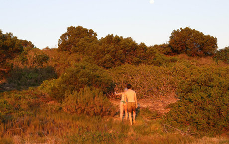 alexandrathorn トップスター 画像