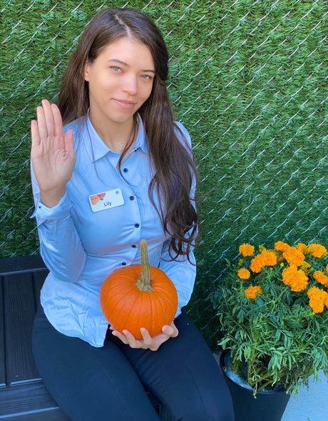 ブルネットの猫OnlyFans 素敵 画像